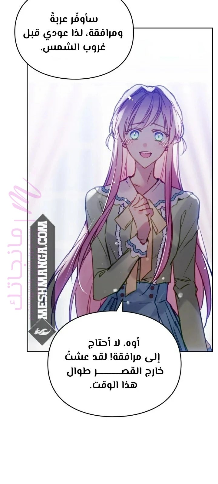 الصفحة 43