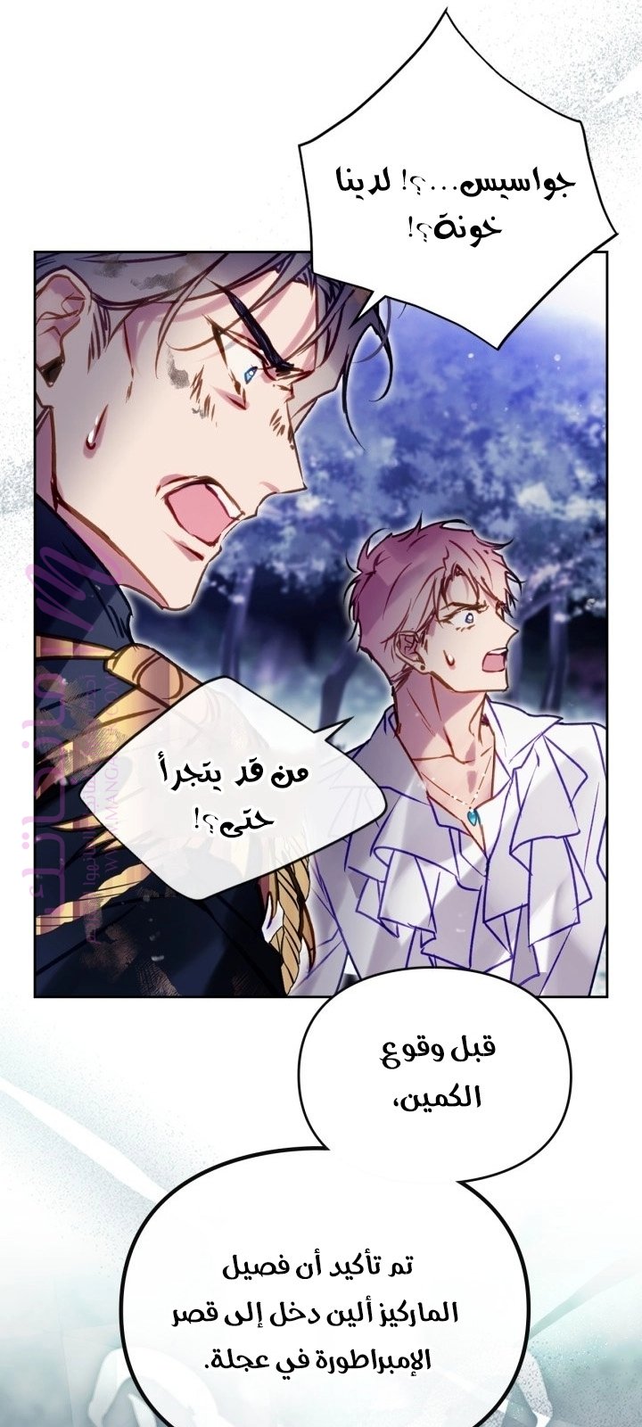 الصفحة 25