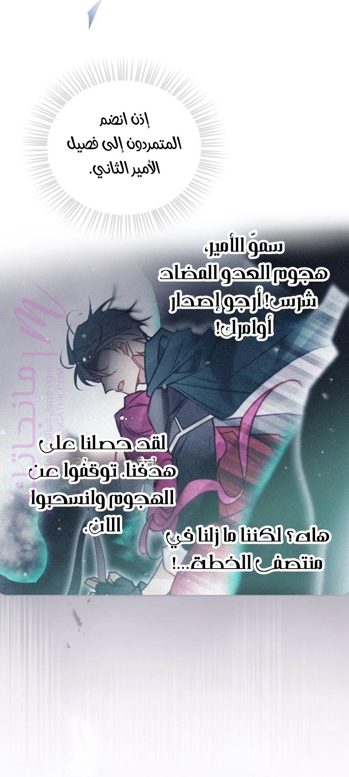 الصفحة 28