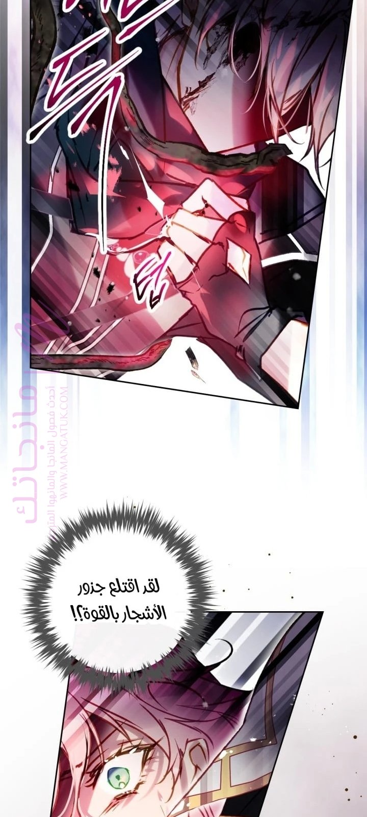 الصفحة 11