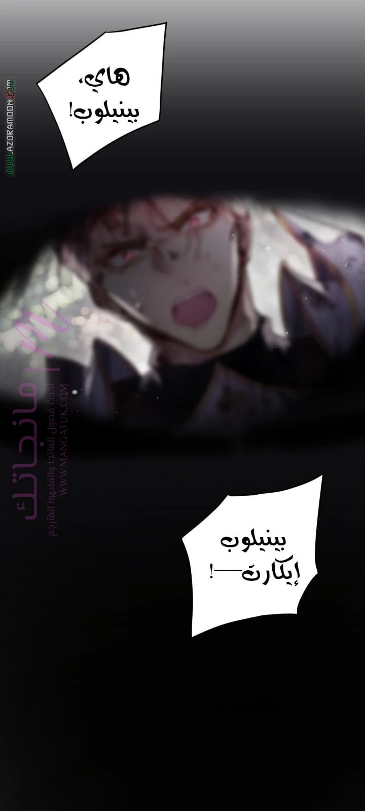 الصفحة 27