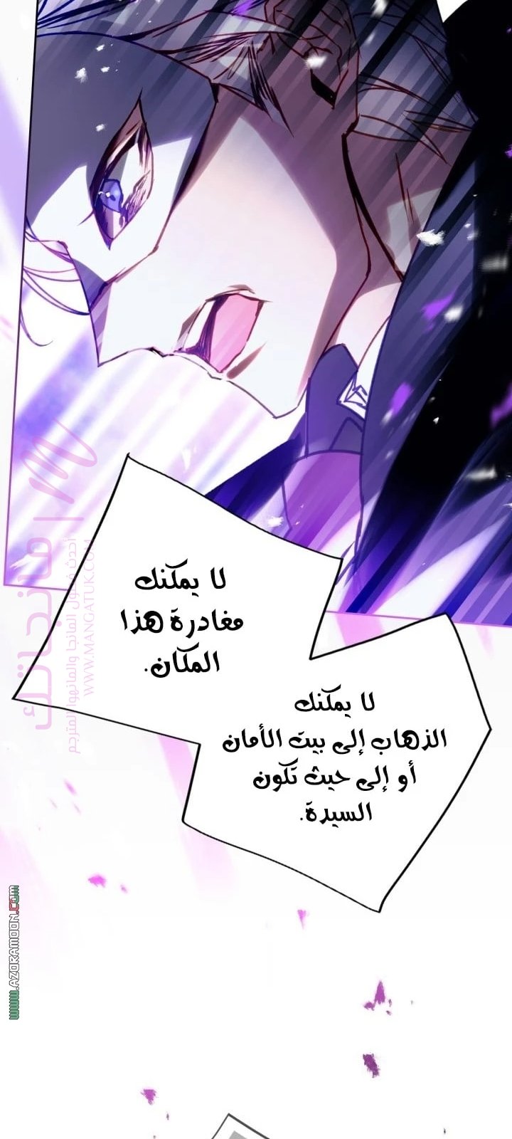 الصفحة 30