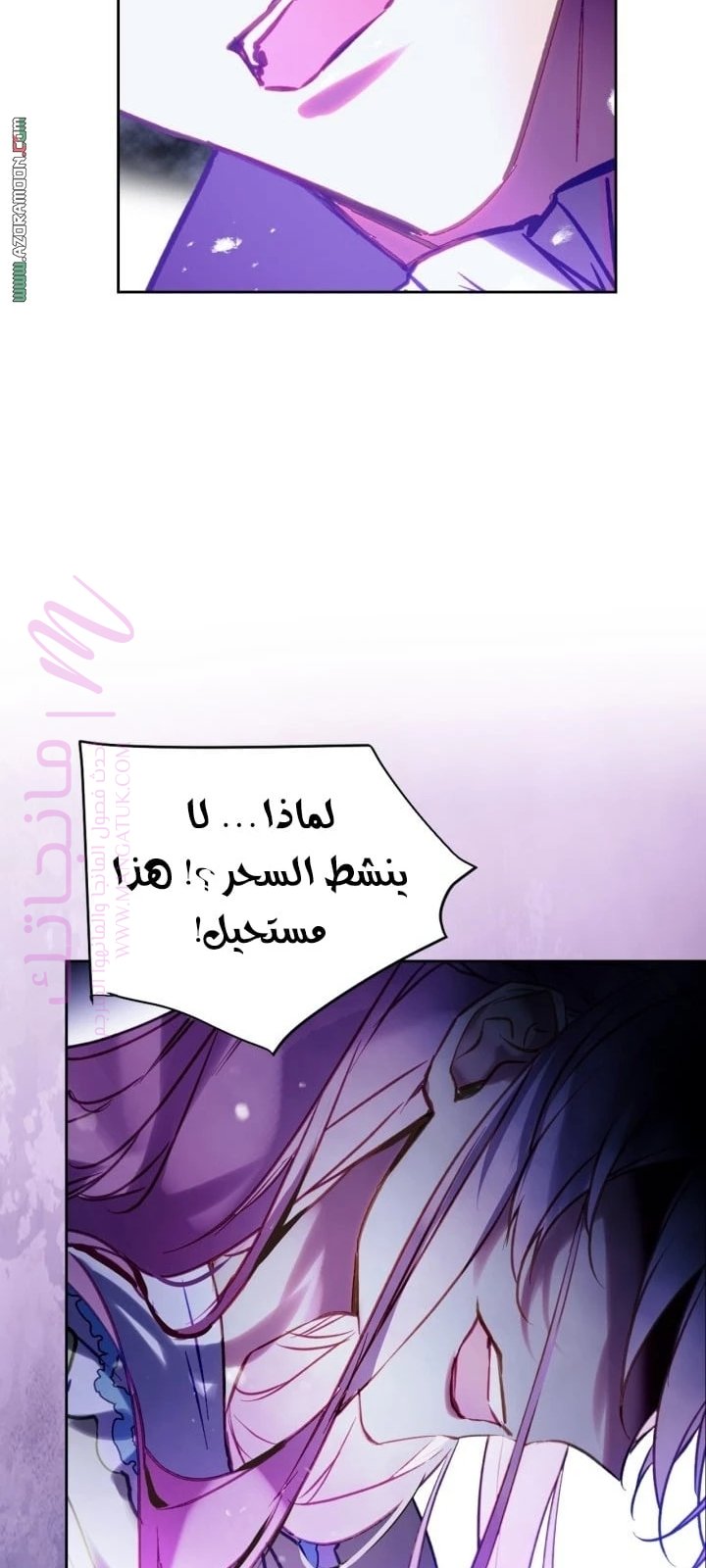 الصفحة 33