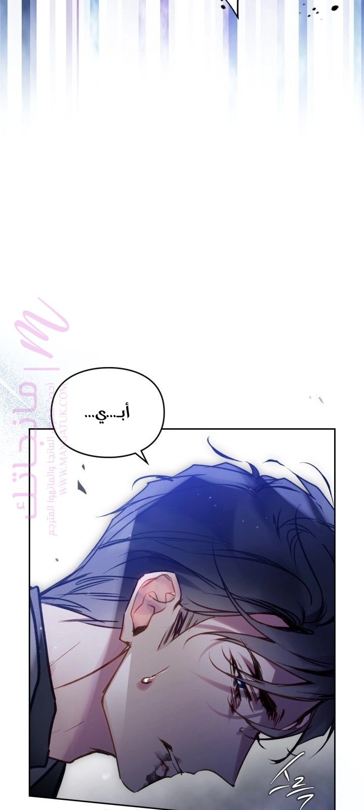 الصفحة 25