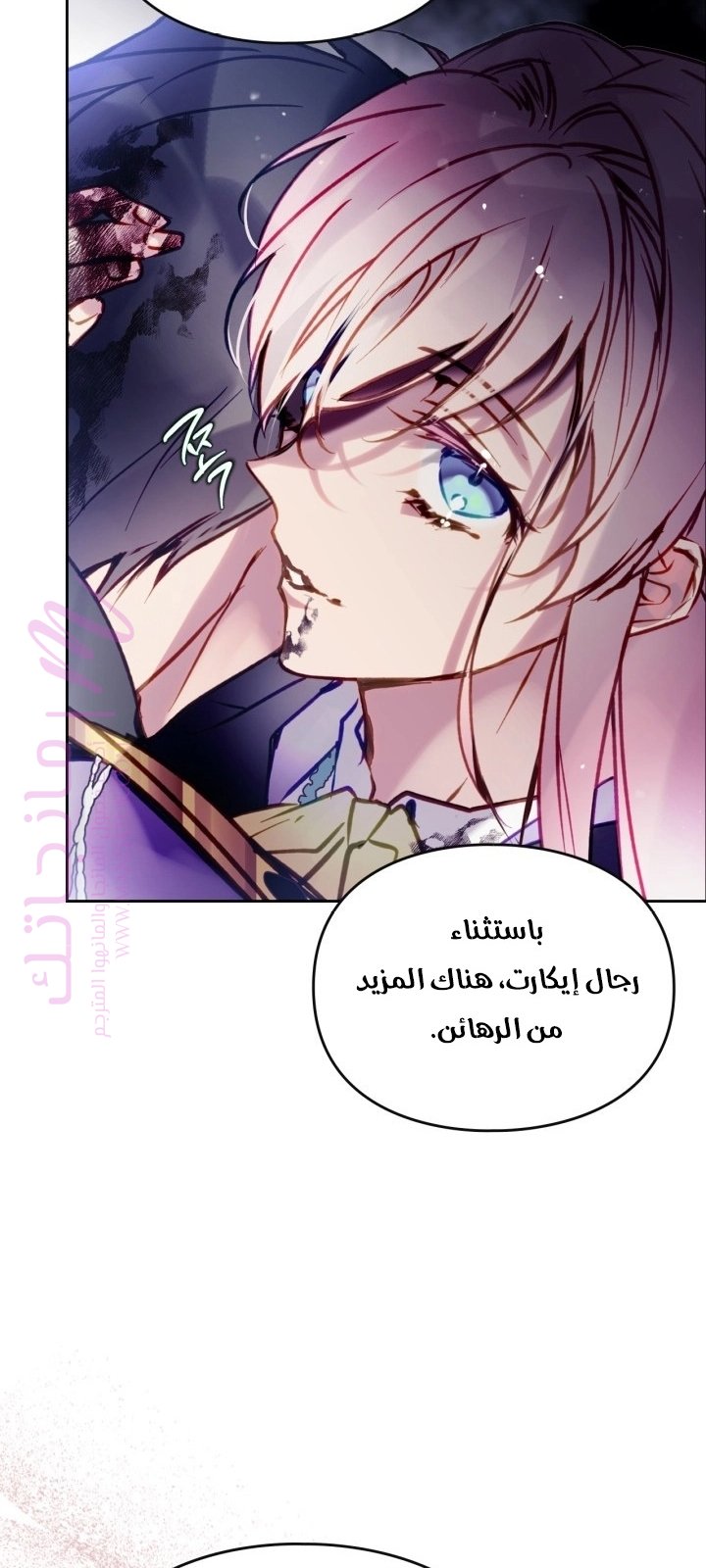 الصفحة 29