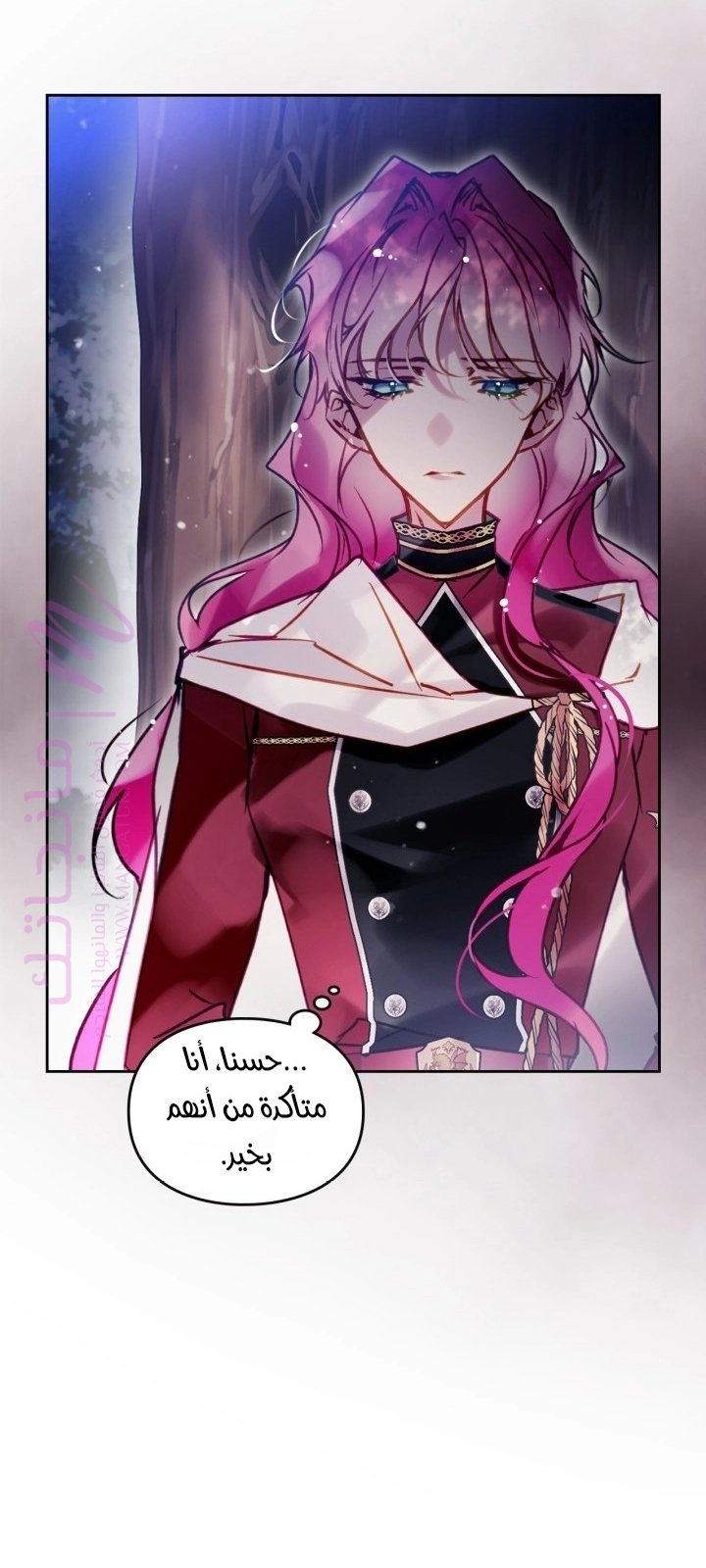 الصفحة 46