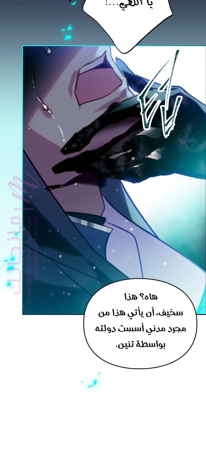 الصفحة 12