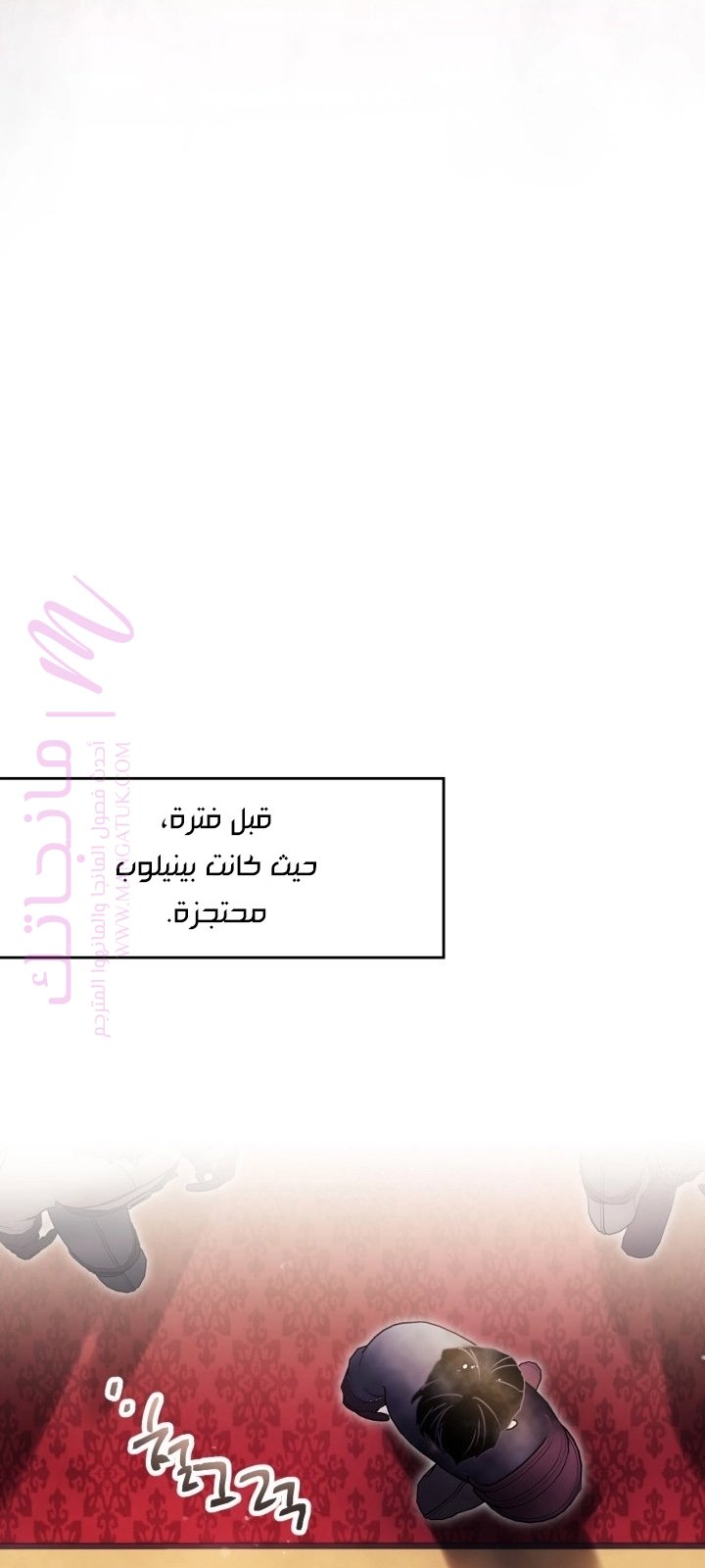 الصفحة 24