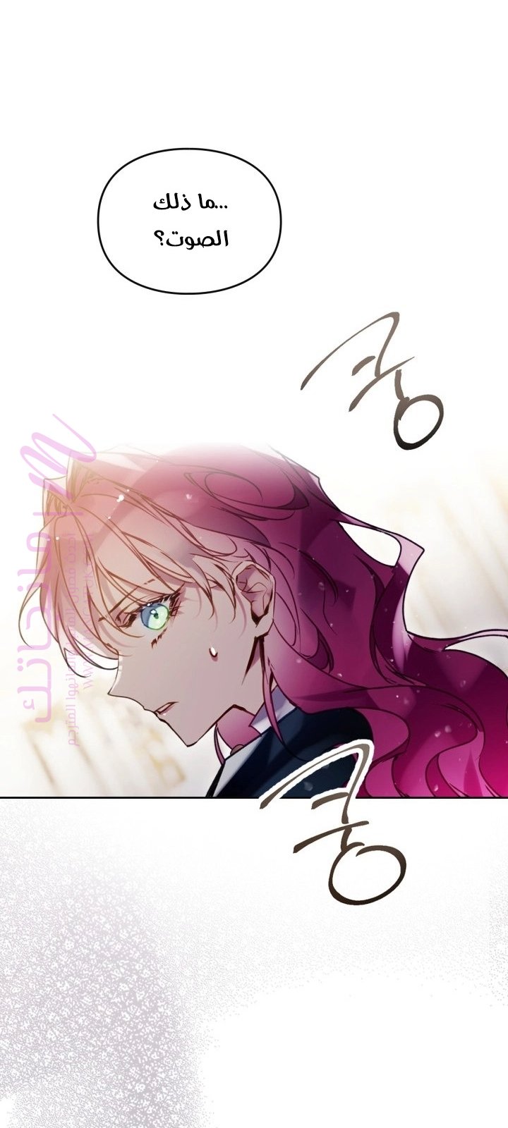 الصفحة 29