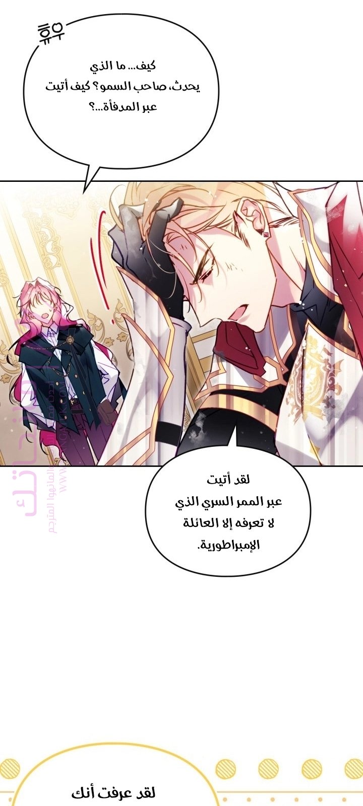 الصفحة 39