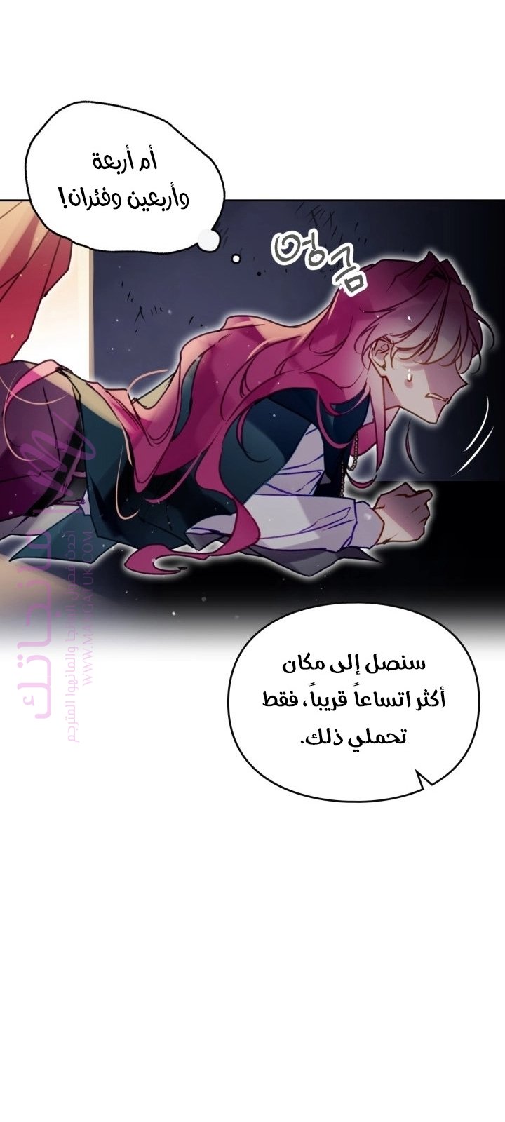 الصفحة 46