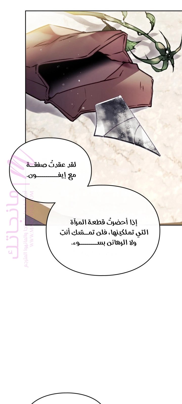 الصفحة 25