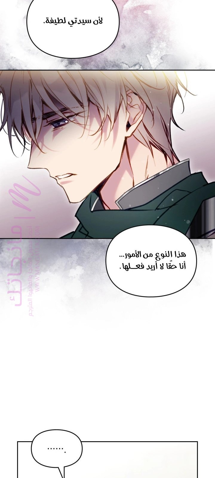 الصفحة 28