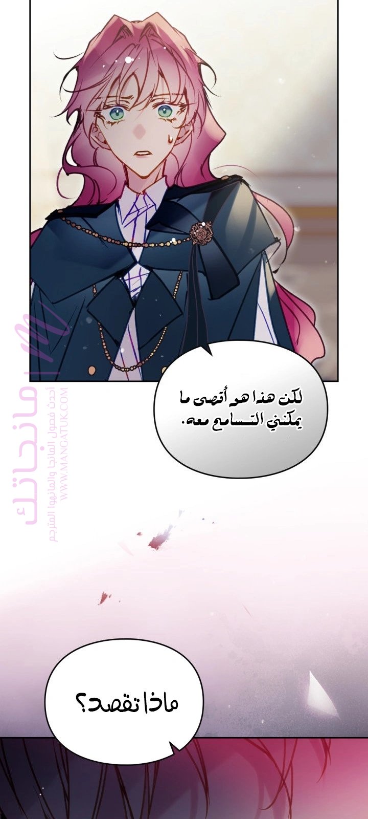 الصفحة 29