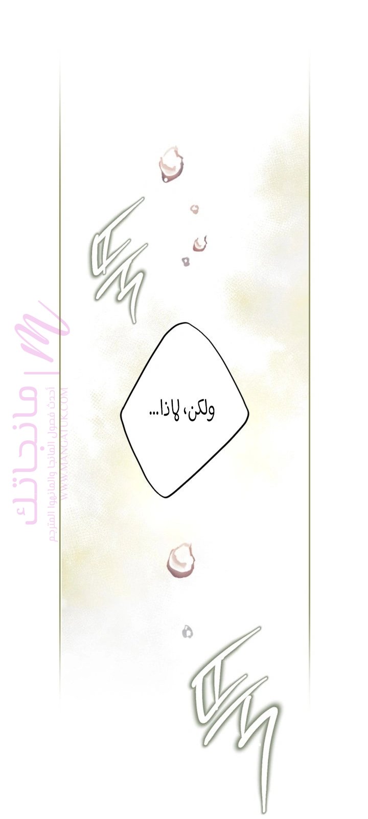 الصفحة 46