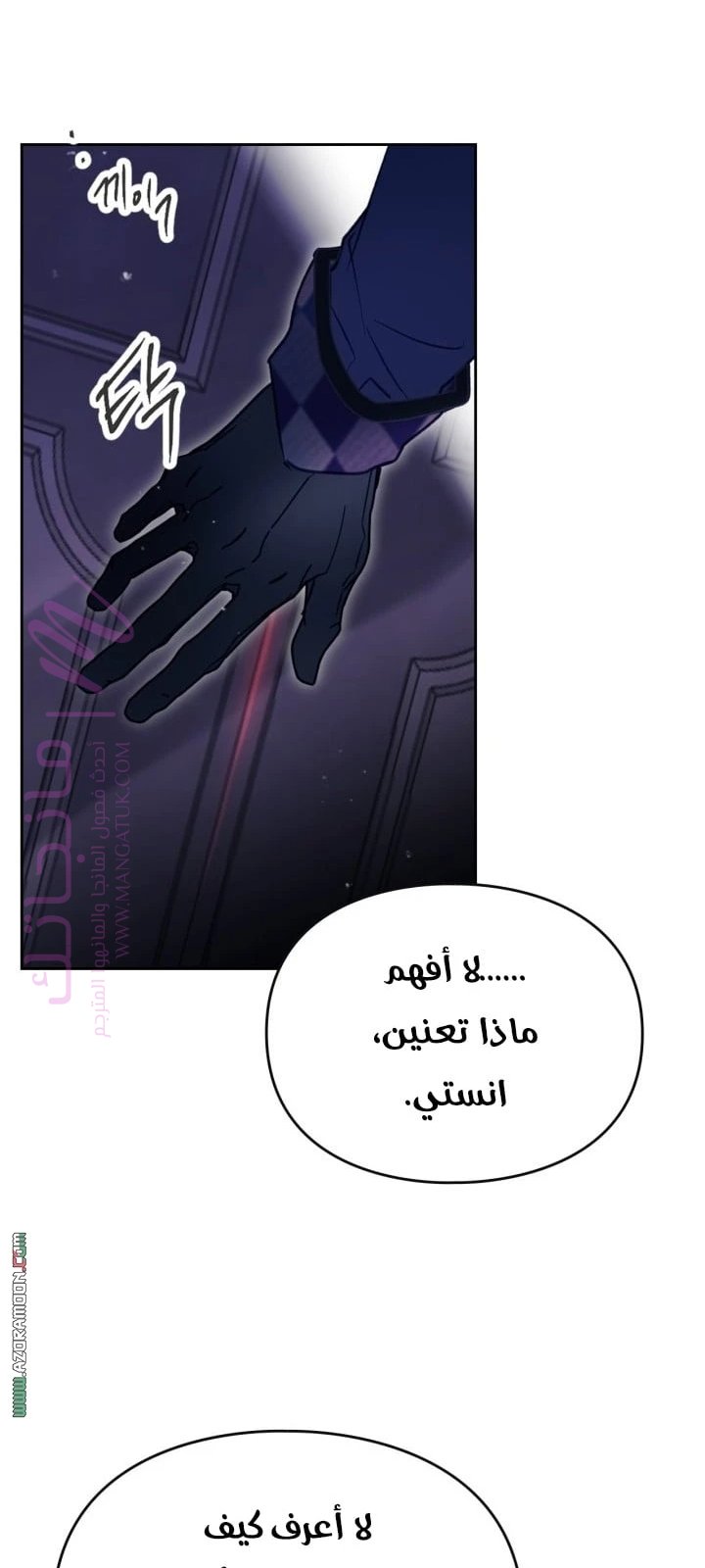 الصفحة 17