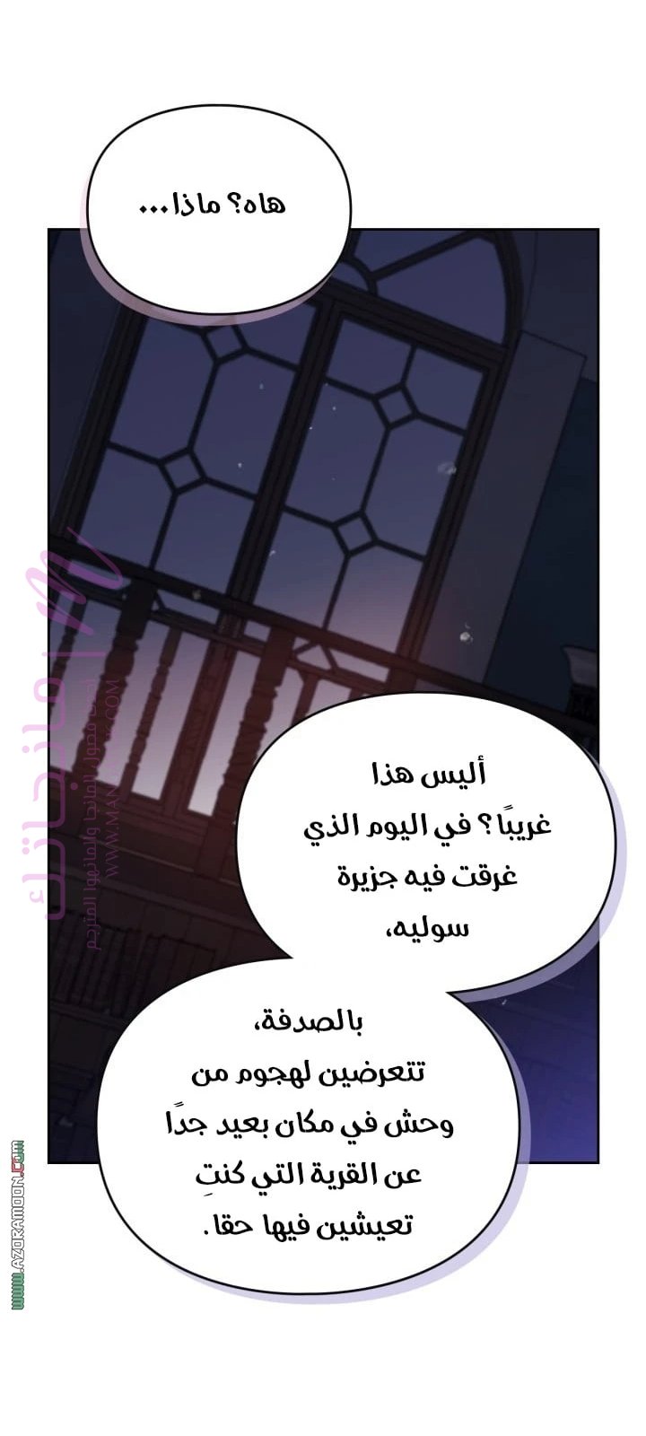 الصفحة 25