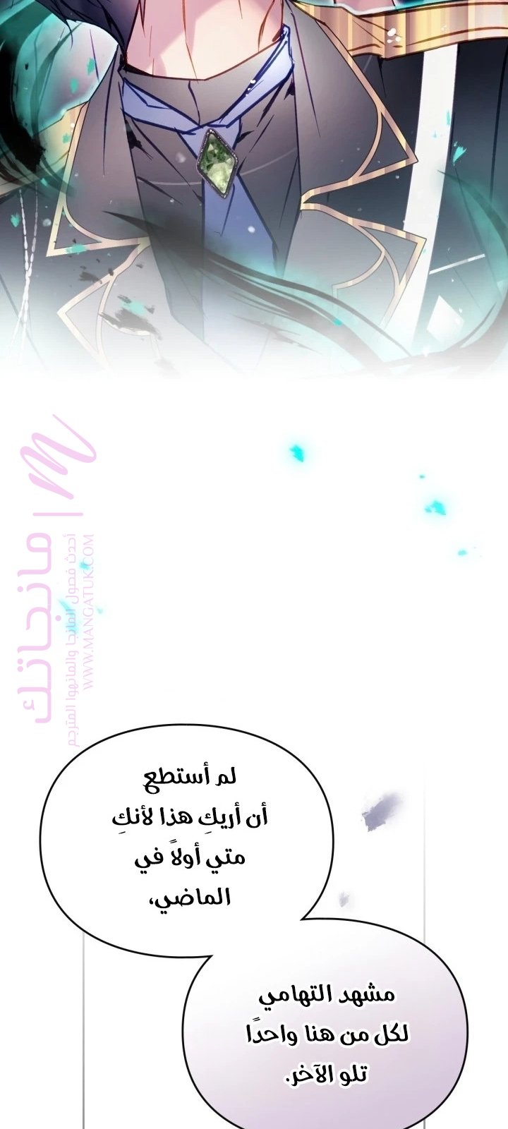 الصفحة 25