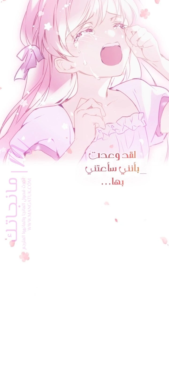 الصفحة 41