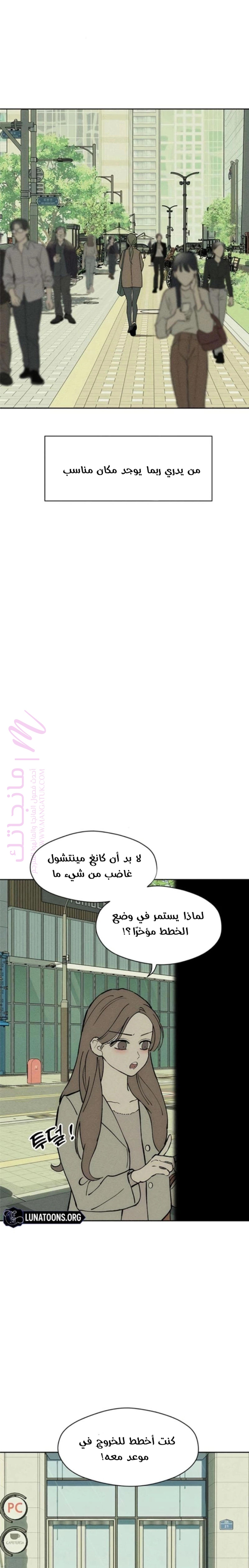 الصفحة 19
