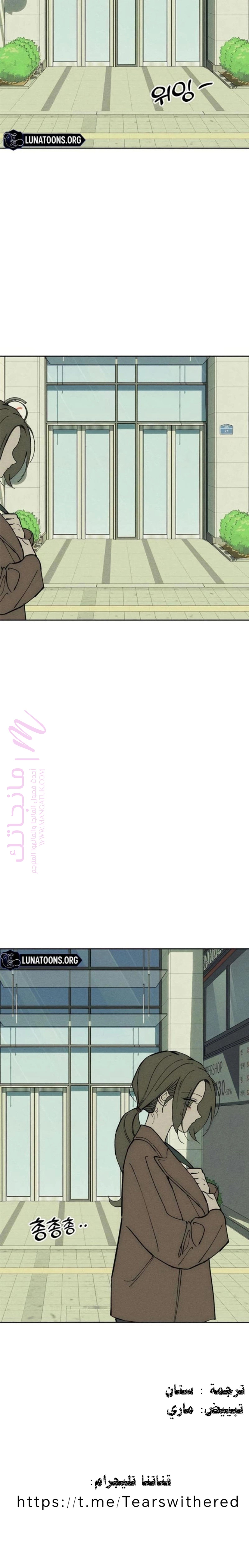 الصفحة 20
