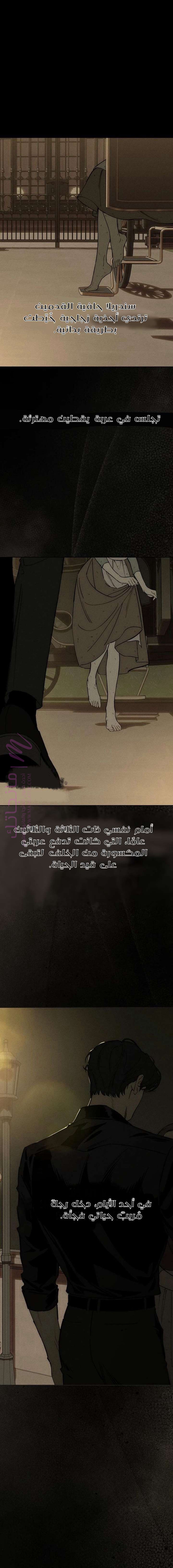 الصفحة 16