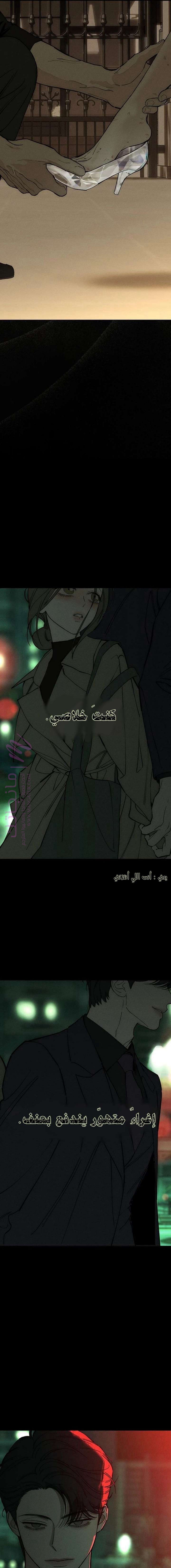 الصفحة 17