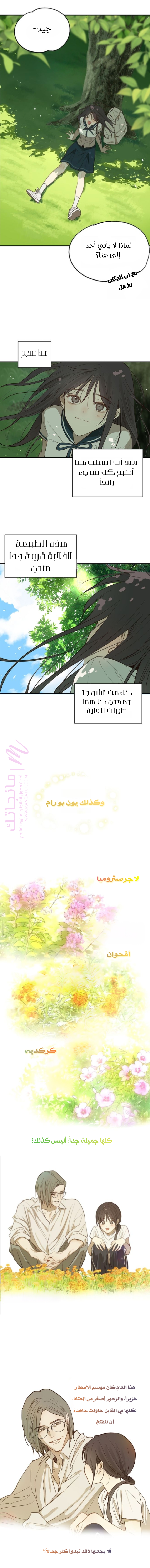 الصفحة 2