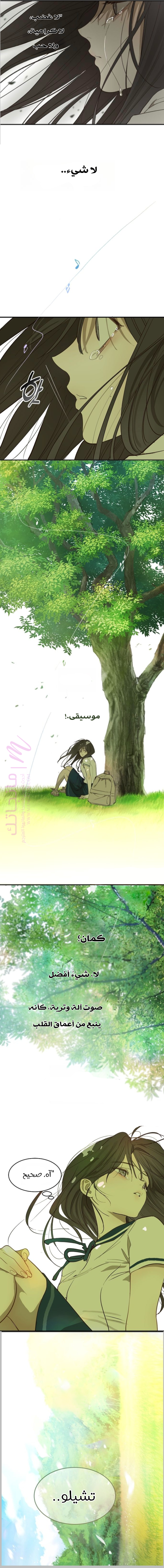 الصفحة 5