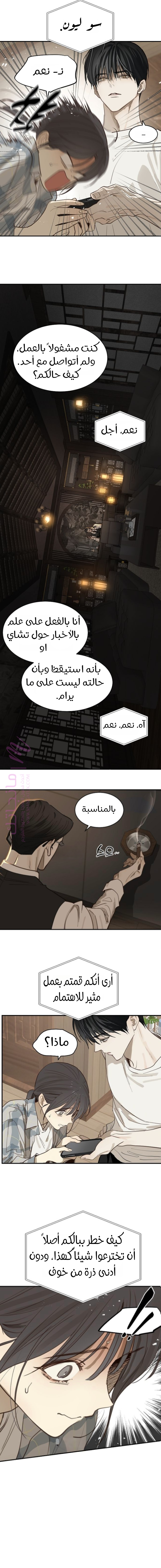 الصفحة 13