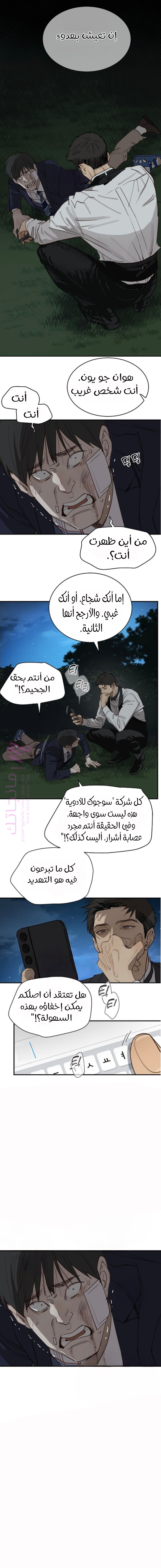 الصفحة 13