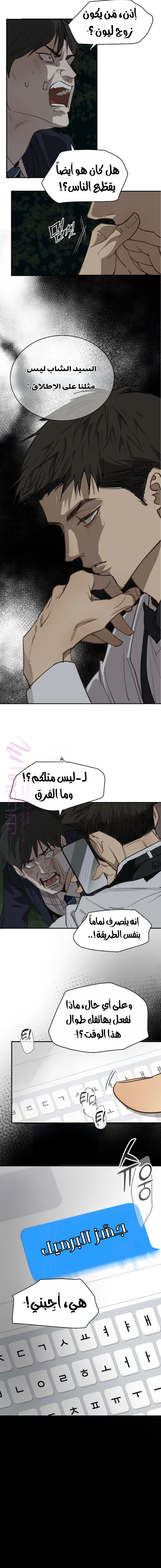 الصفحة 14