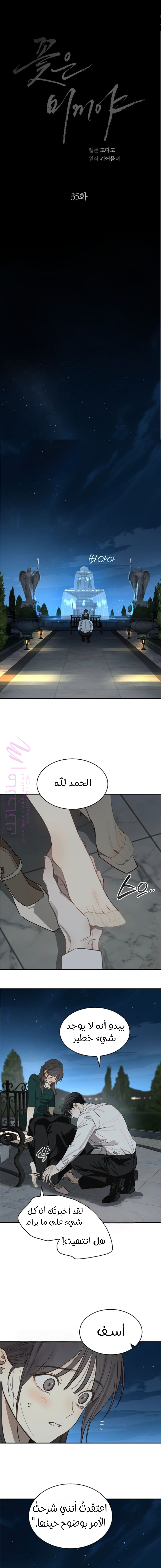 الصفحة 15