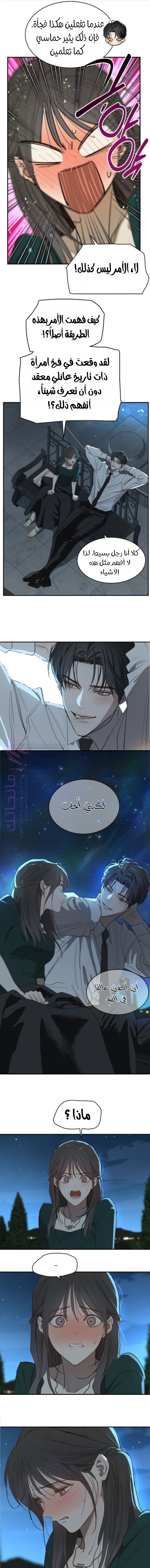 الصفحة 2