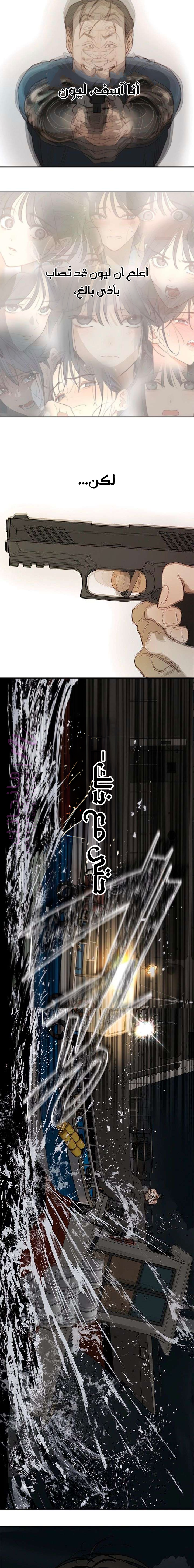 الصفحة 17