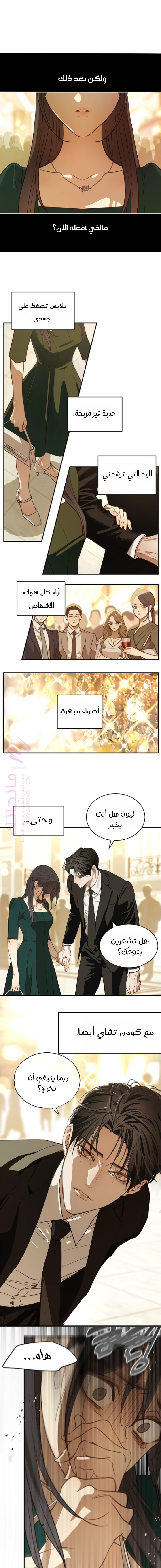 الصفحة 3