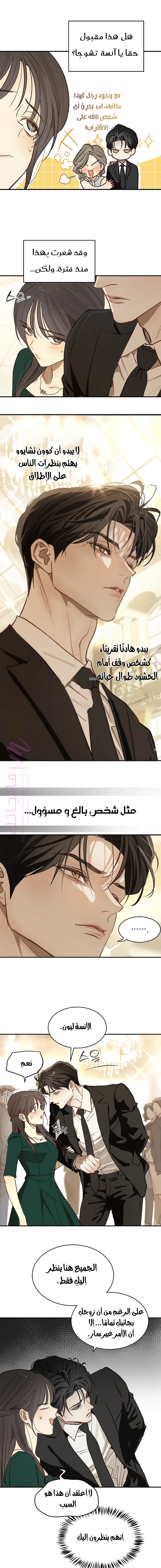الصفحة 17