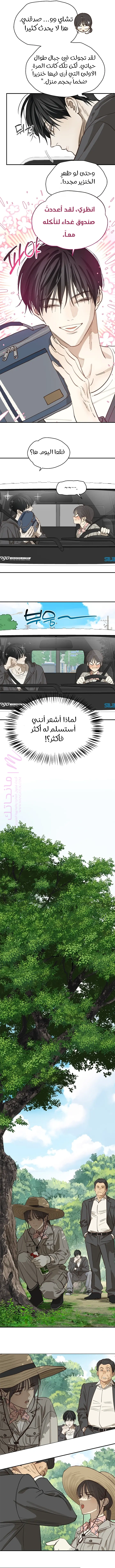 الصفحة 5