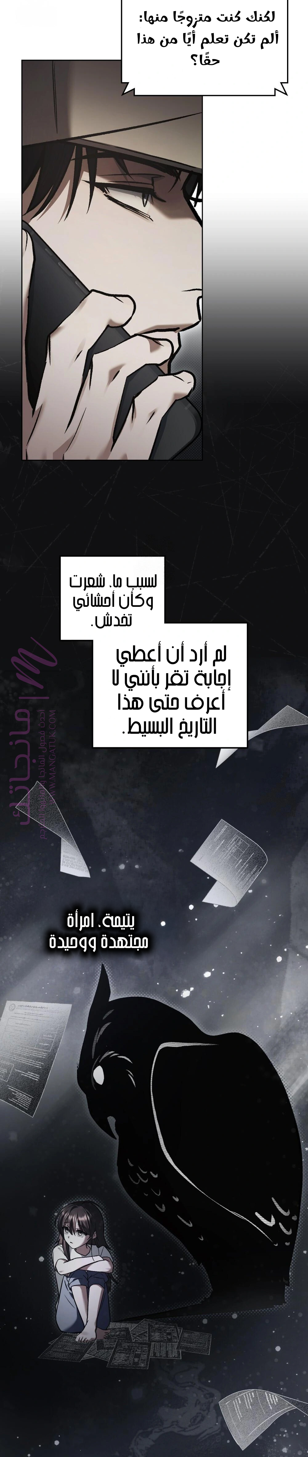الصفحة 17