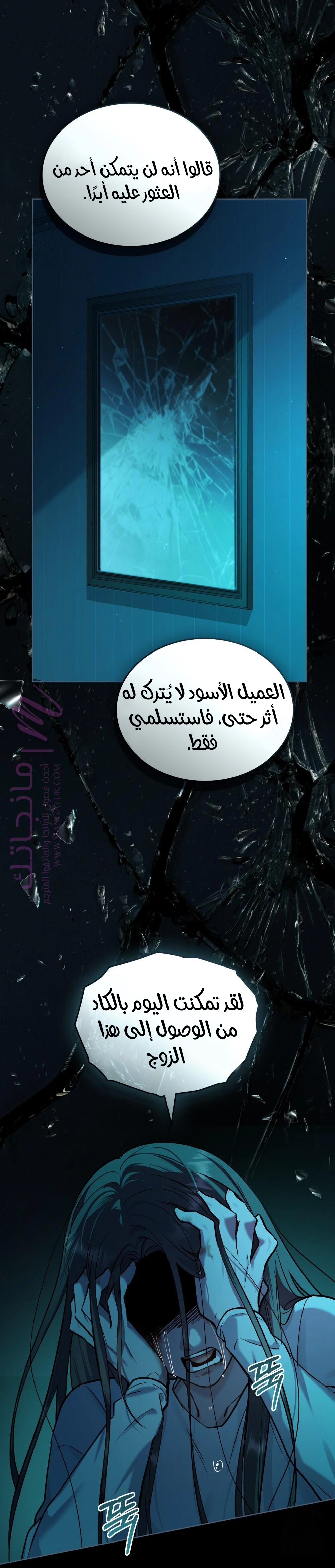 الصفحة 24