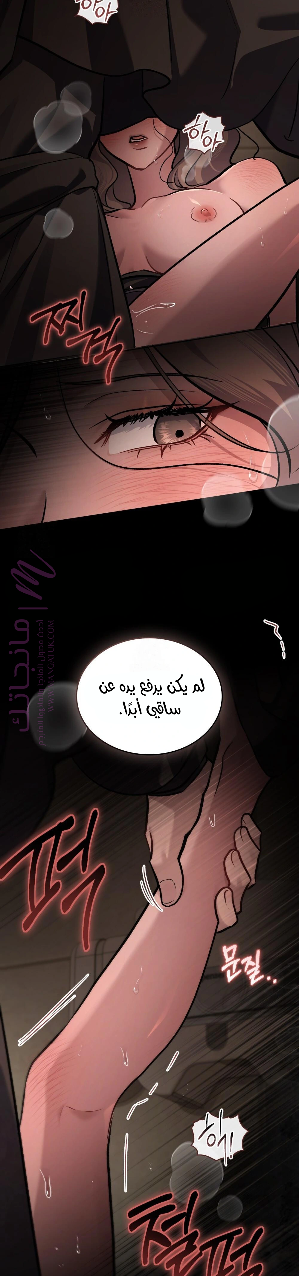 الصفحة 14
