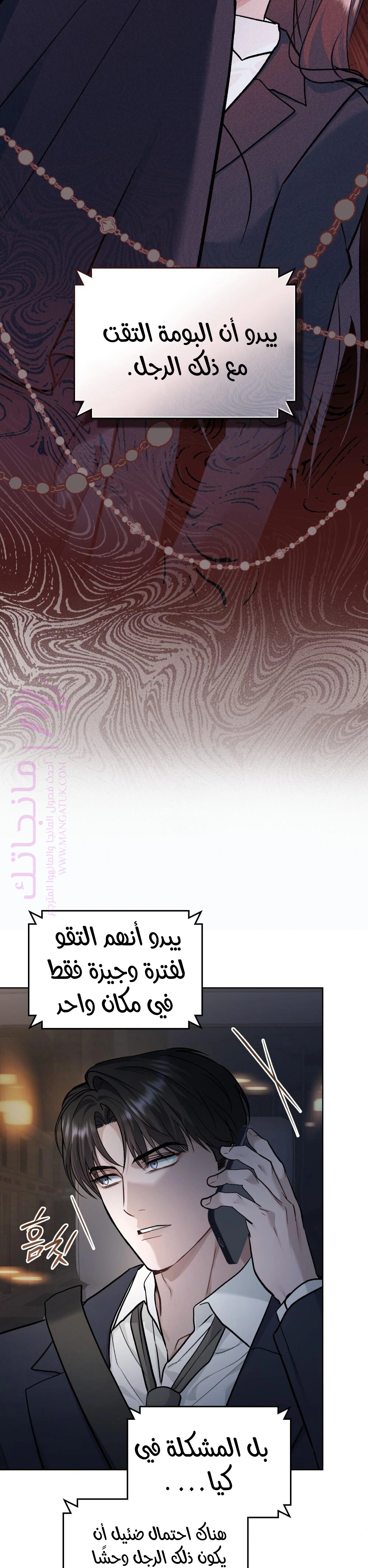 الصفحة 25