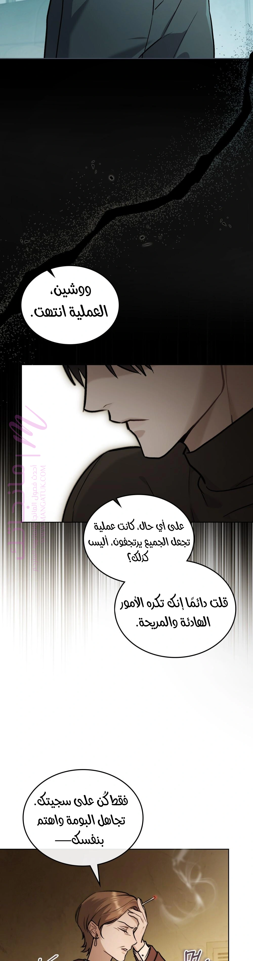 الصفحة 13