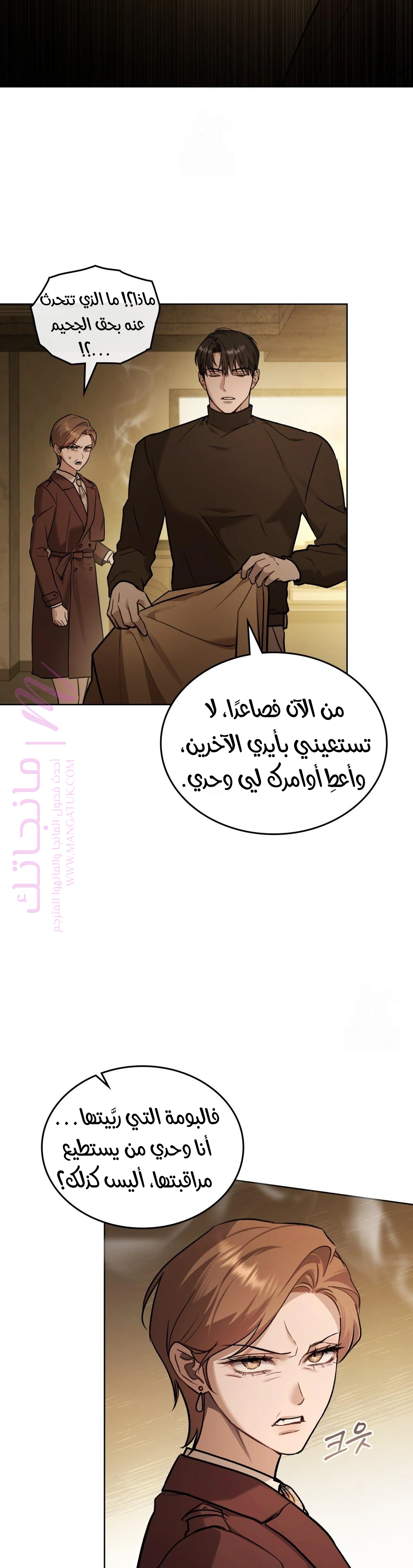الصفحة 17