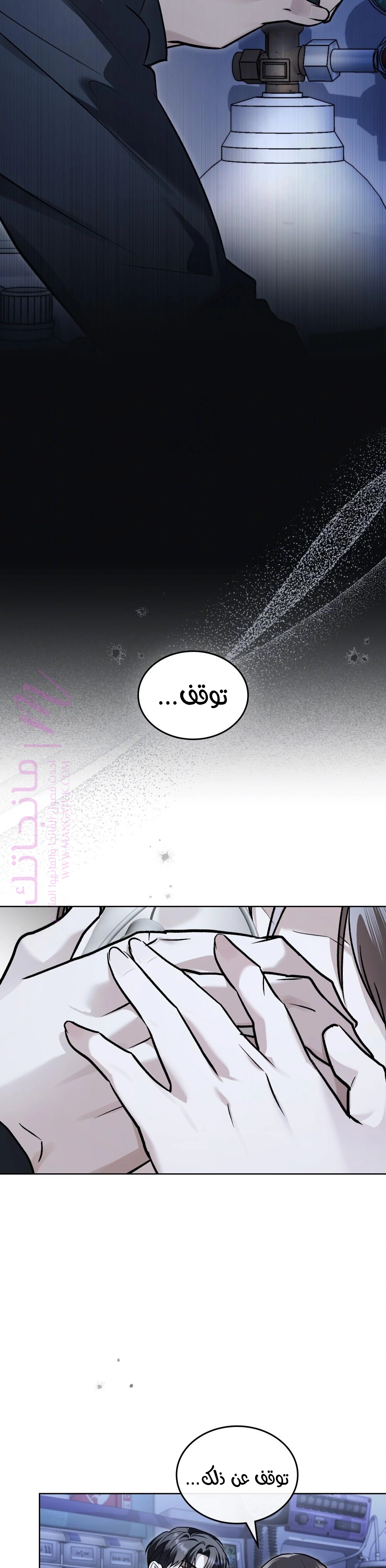 الصفحة 25