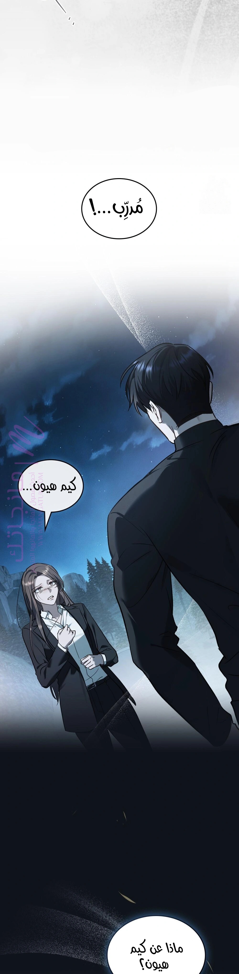 الصفحة 29