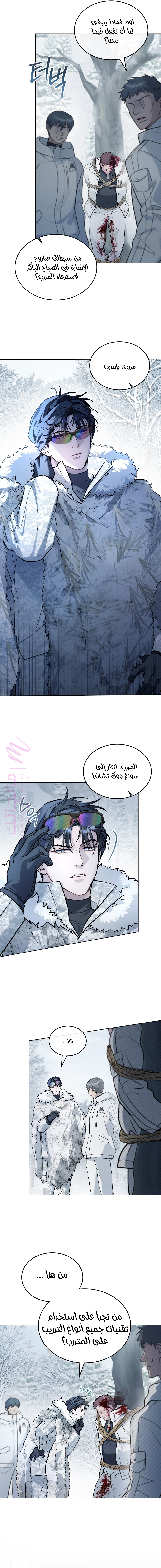 الصفحة 8