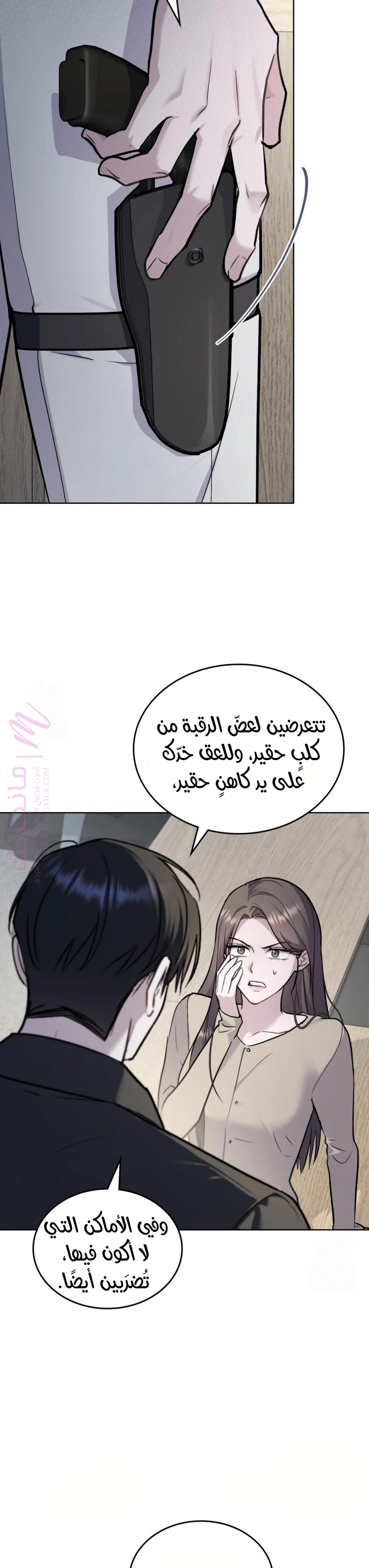 الصفحة 27