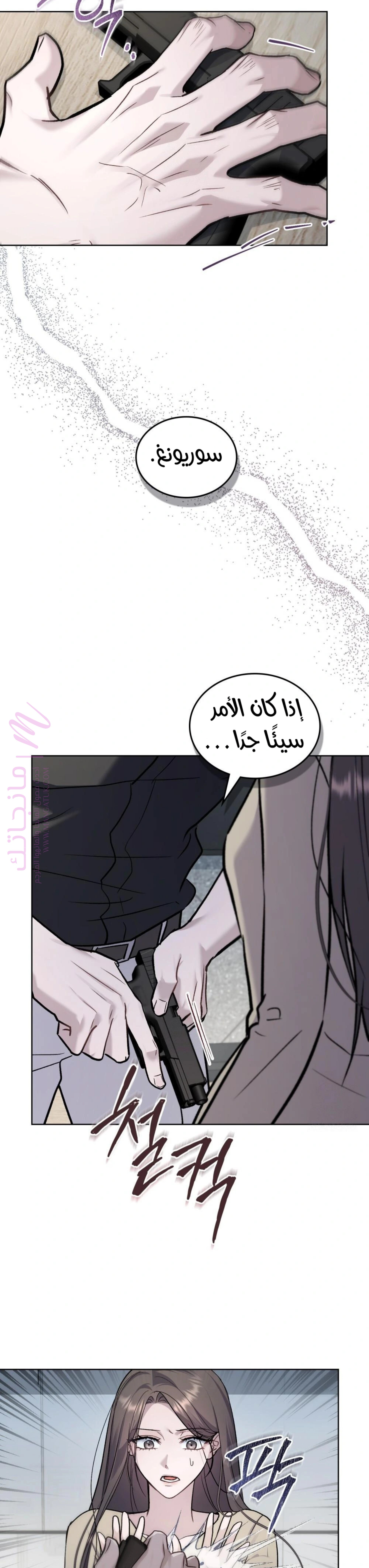 الصفحة 29