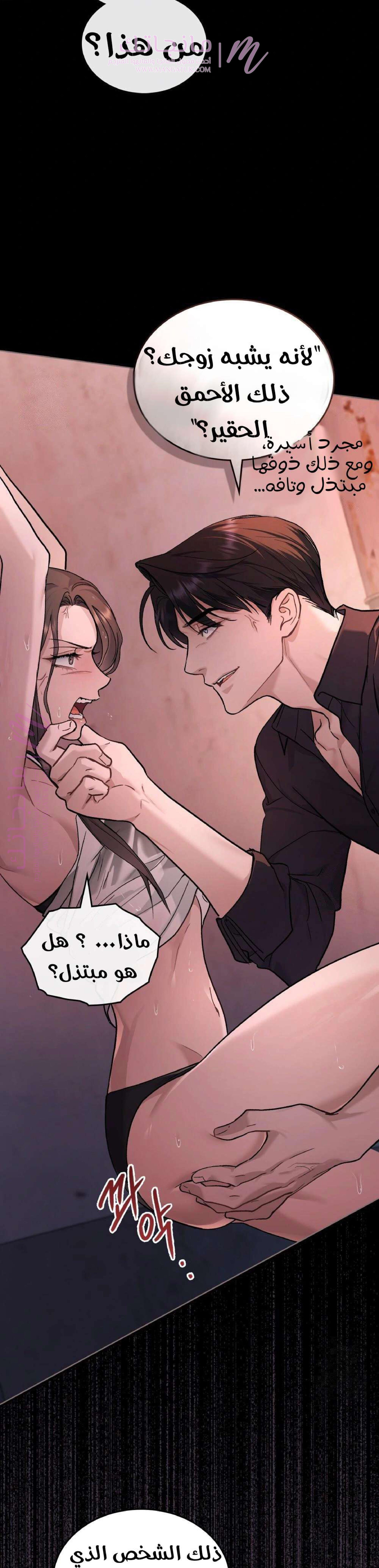 الصفحة 20